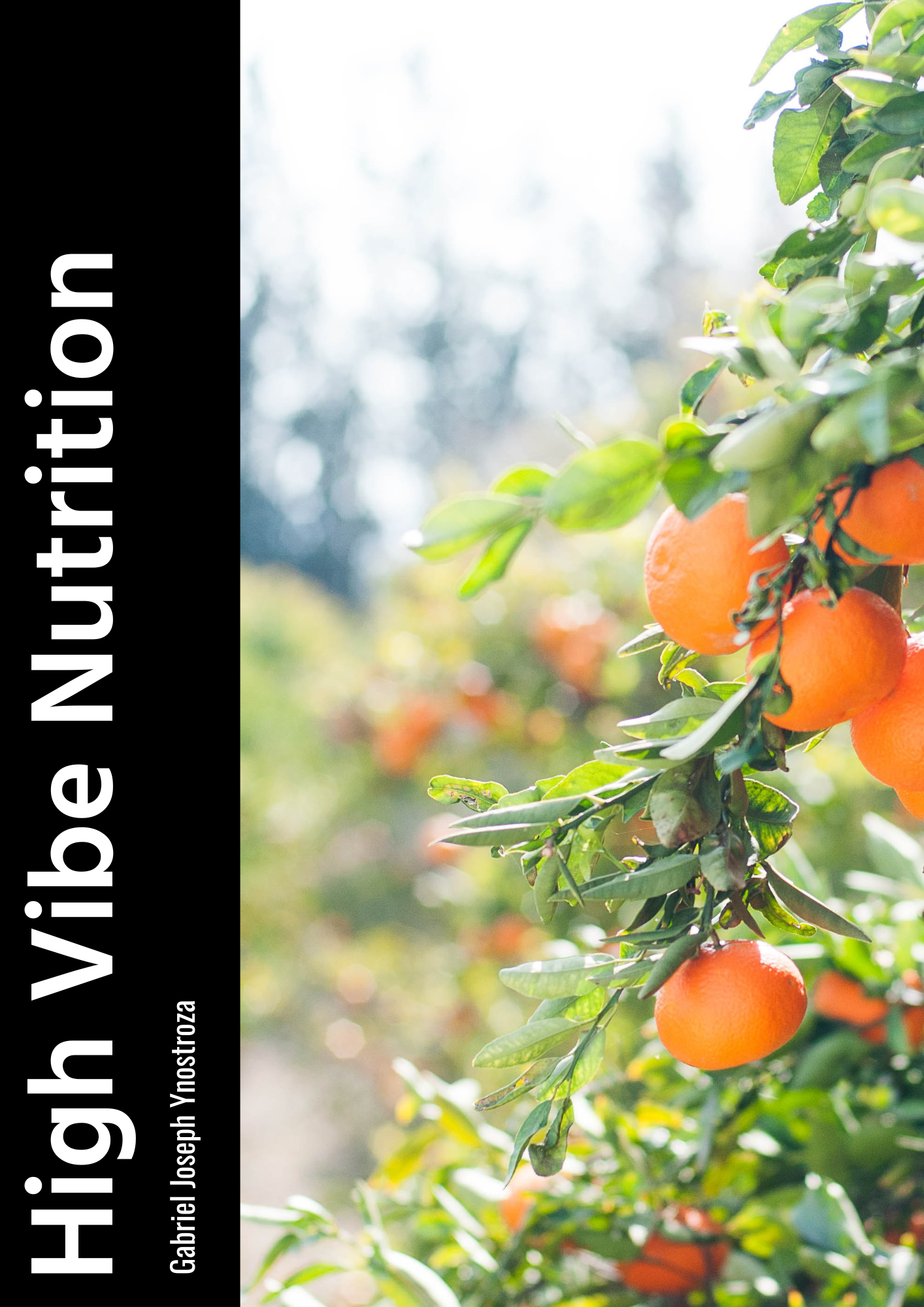 Cover of the High Vibe Nutrition guide